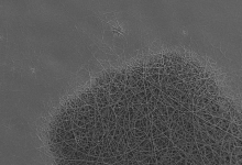 mmagine al microscopio elettronico delle nanofibre. Sono visibili due zone 'programmate' in modo diverso e poi esposte a temperature elevate. In una zona le nanofibre sono rimaste intatte, nell’altra si sono sciolte formando una pellicola uniforme.